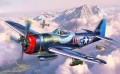03984_si_p47_m_thunderbolt.jpg