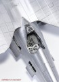 31884_fla-2993.jpg