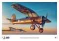 big_40001-A4.jpg
