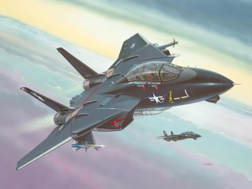 04029_i_f_14a_black_tomcat.jpg