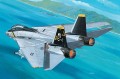 04021_i_f_14a_tomcat.jpg