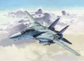 03865_i_f_14_a_tomcat_top_gun.jpg