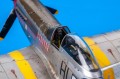 KAMO_B_00.jpg