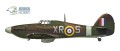 big_70024-profile-4.jpg