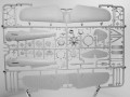 big_P11C-48.jpg