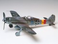 61041_1.jpg