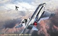 hasegawa-pt6-07206-f-4jXX.jpg
