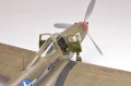KAMO_C_06.JPG
