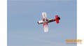 1-01771-multiplex-racewulf-10.jpg