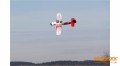 1-01771-multiplex-racewulf-25.jpg