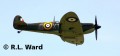 03986_si_spitfire_mk_ii.jpg