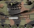 03320_d03_leopard_1a5.jpg