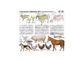 1-35-livestock-set-tamiya-35128s.jpg