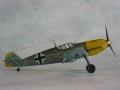 eduard_8263-bf_109e-4_1-48_1-72-markinge_05.jpg