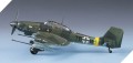 317_441.jpg