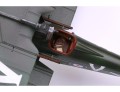 kamo_e_05.jpg