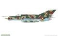 camo-f.jpg