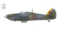 big_70061-profile-2.jpg