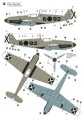 52545_hbd32009-4.jpg