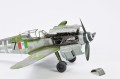 CAMO_A_06.JPG