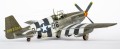 P-51_32.jpg
