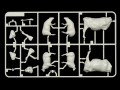 35385_4c7.jpg