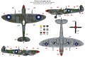 62530_1721738217967.jpg