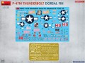 48042_Decal-PE.jpg