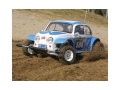 sand-scorcher-2010-2wd-buggy-tamiya-58452c.jpg