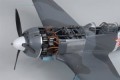 2845_2-auto_downl.jpg
